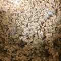 クックR72FCO☆'s cooksnap of when they made かんたん☆鶏そぼろ.