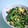 こひよこ's cooksnap of when they made 塩昆布とほうれん草を卵で絡めて・・・.