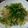 稲沢ゆり's cooksnap of when they made 米なすのたたき(๑>◡<๑).
