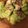 クックD4LCV2☆'s cooksnap of when they made ＊豚しゃぶの冷製キャベツロール＊.