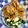 ほもさぴくろまによん's cooksnap of when they made 旨酢たれ豚コマの☆ニラとたたき長芋添え♪.