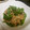 あ～ずん's cooksnap of when they made 豚肉とシシトウのオイスター炒め.
