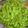 あ～ずん's cooksnap of when they made 枝豆の茹で方.