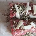 mroses's cooksnap of when they made 手作りパンチェッタ☆自家製.