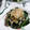 ＴＯＭＯＷＡＴ's cooksnap of when they made モロヘイヤとエノキのおひたし☆.