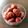 めぐたけちゃん's cooksnap of when they made ワインで仕上げる「栗の渋皮煮」.