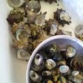 閑人舎's cooksnap of when they made 茹でサザエを簡単に取る裏ワザ(*‾艸‾).