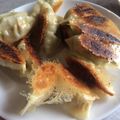 にゃんこ炒め's cooksnap of when they made ダイエットに！おから豆腐入りヘルシー餃子.