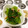 ぽぽきゅ's cooksnap of when they made 小松菜の桜エビ和え　妊活レシピ.