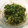 あけちゃんち。's cooksnap of when they made しその実の塩漬け.