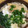 とととんちゃん's cooksnap of when they made 受験生のお夜食♪　にゅうめん.