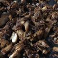 もち姉's cooksnap of when they made 簡単♪ブリの佃煮♪.