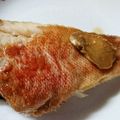 ぴかりんぼん's cooksnap of when they made かすべの煮つけ(煮魚).