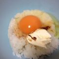 ﾌﾞﾚﾝﾀﾞ's cooksnap of when they made わが家の卵かけご飯.