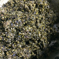 みゅうポン's cooksnap of when they made シソの実の佃煮.