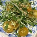 ルナＰボール's cooksnap of when they made 大根と水菜のポン酢サラダ.
