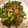 tottokoc's cooksnap of when they made にんにくの芽とクルミと豚肉の炒めもの.