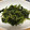 9no1's cooksnap of when they made 台湾小皿風！空心菜の青菜炒め.
