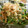 ☆Rokko☆'s cooksnap of when they made おかワカメと納豆の和え物♪.