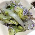 やなつこ's cooksnap of when they made 白菜とシラスのゆかりサラダ.