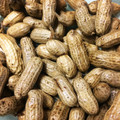 caille's cooksnap of when they made 簡単 茹で落花生.
