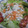 miyuki12's cooksnap of when they made ヒラメのマヨマスタード和え.