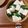 ＊ＡＫＯＲＩ＊'s cooksnap of when they made 春菊とはんぺんのお吸い物.