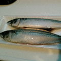わいえぬぴぃ☆'s cooksnap of when they made ハサミだけ、簡単な鯖のさばき方.