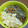 けろけろゆきたん's cooksnap of when they made 簡単♡2色甘辛そぼろ丼♡-豚ひき肉-.