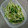 まな姫's cooksnap of when they made 簡単すぎる☆ 水菜のお浸し.