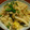 あるふぁ～すぴか's cooksnap of when they made 甘栗とシメジの炊き込みご飯〜栗ご飯〜.