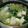クックGHFTGZ☆'s cooksnap of when they made ダイエット満腹スープ☆肉団子塩ちゃんこ鍋.
