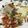 クックGFY8CA☆'s cooksnap of when they made 本格！！クロダイのムニエル♫.