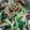 KAKO_KAKO's cooksnap of when they made 水菜と牛すじの和え物.