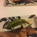 クックPW9C2T☆'s cooksnap of when they made フライパンで簡単・時短★ぶりの照り焼き.