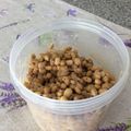 Amalka's cooksnap of when they made 手作り納豆 (タニカ ヨーグルティア使用.