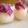 トースターで時短's cooksnap of when they made 紫芋あん.