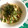 おっちむ＊'s cooksnap of when they made ささみと山菜の和パスタ.