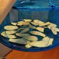 クックBNQ5PD☆'s cooksnap of when they made 干すだけで旨み倍増！干し野菜.