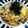 sayon◎'s cooksnap of when they made キノコたっぷり！和風オムライス.