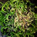 ななっぴ♪'s cooksnap of when they made ピーマンと塩昆布炒め.