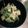 きうたろう's cooksnap of when they made ミノの辛みそ炒め.
