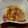 ＊amor＊'s cooksnap of when they made ＴＯＦＵ～メープル☆仕立て.