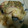こぼく's cooksnap of when they made 超簡単♡タコの梅とろろ昆布和え♡.