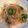 さきっちょ727☆'s cooksnap of when they made もやしときゃうりとハムの中華サラダ.