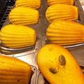 Shaohoo's cooksnap of when they made ○かぼちゃのマドレーヌ○.