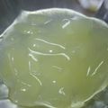 ぶみか's cooksnap of when they made 食欲がない時に、片栗粉で作るりんごの葛湯.