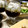 pyupo's cooksnap of when they made 生もずくのしらすおろし和え☆.