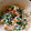 さなさきか's cooksnap of when they made 簡単☆ほうれん草の白和え.