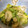 かじりっこ's cooksnap of when they made 簡単☆セロリのW胡麻和え.